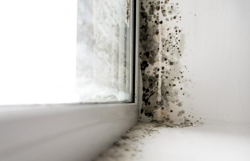 How To Spot Early Signs Of Damp 