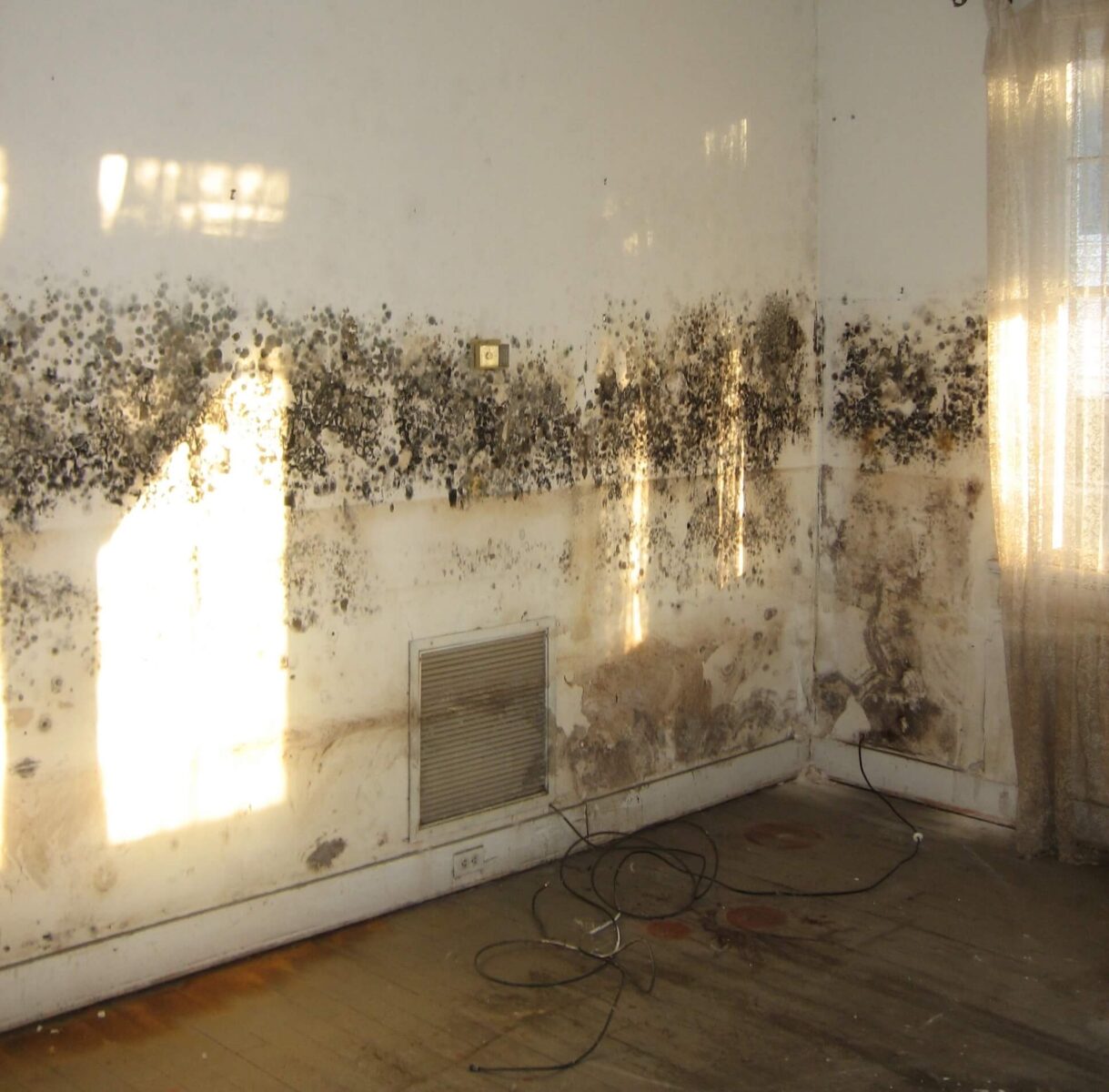 stop-mould-on-walls
