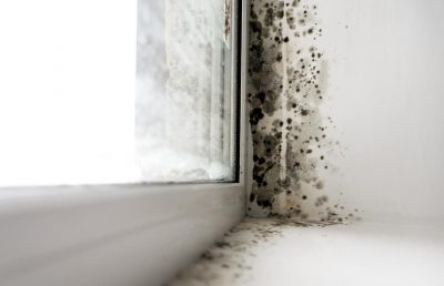 awc-damp-proofing-your-home